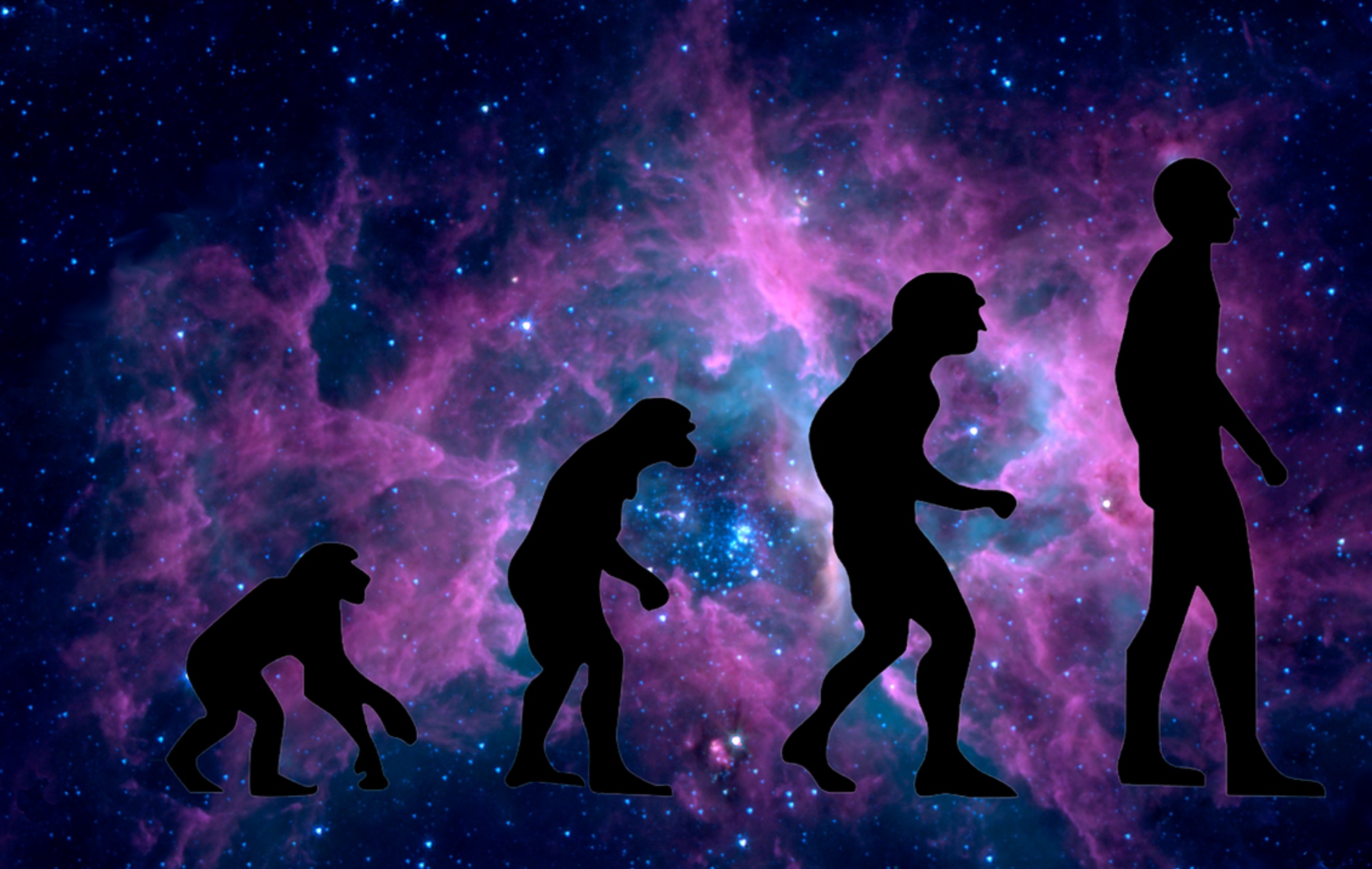 Scientist Says Humans Are Still Evolving, And Possibly More Rapidly ...