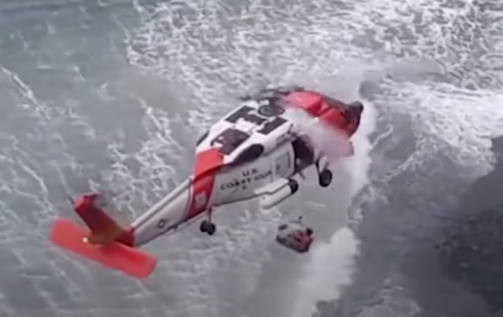 Coast Guard Rescues Dog That Fell Off Seaside Cliff In Dramatic Video ...