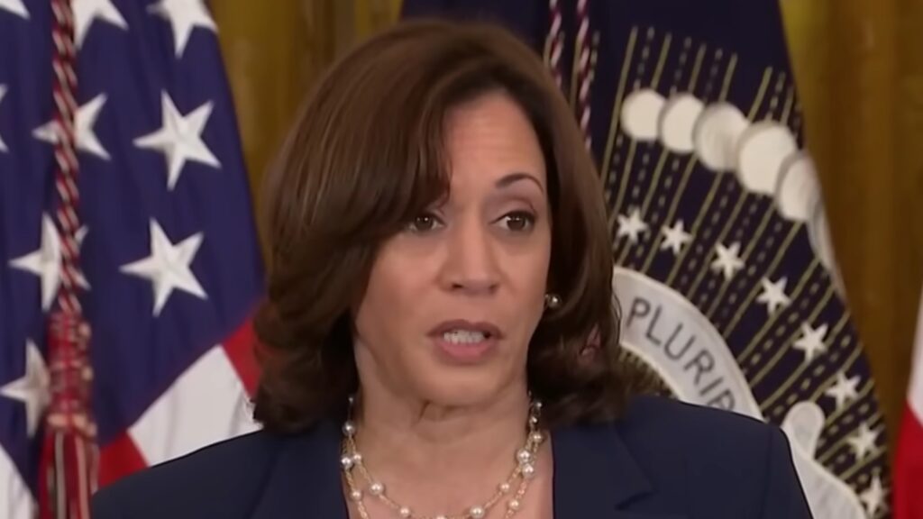 VP Harris Raises Eyebrows With Civil War Comparison – State of the Union