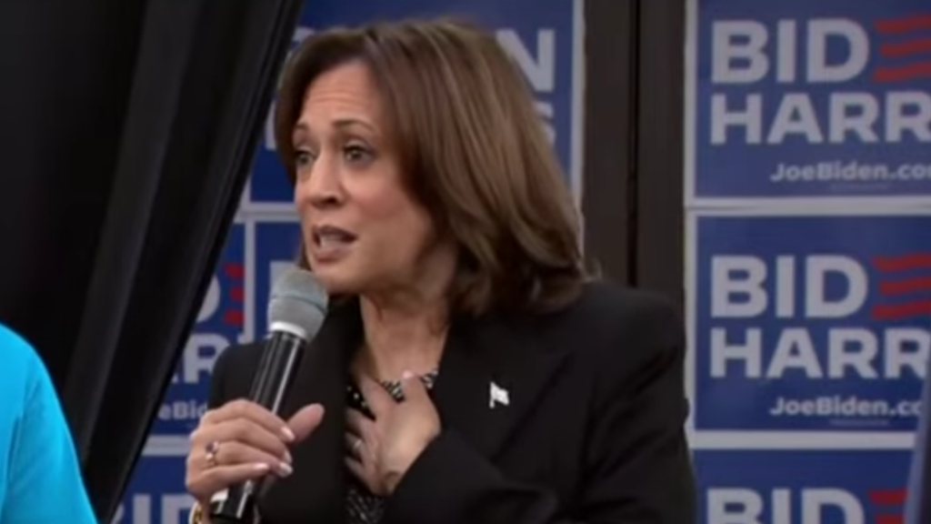 Kamala Harris Warns US Freedom Is Under ‘Profound Threat’ In MLK Jr Day ...