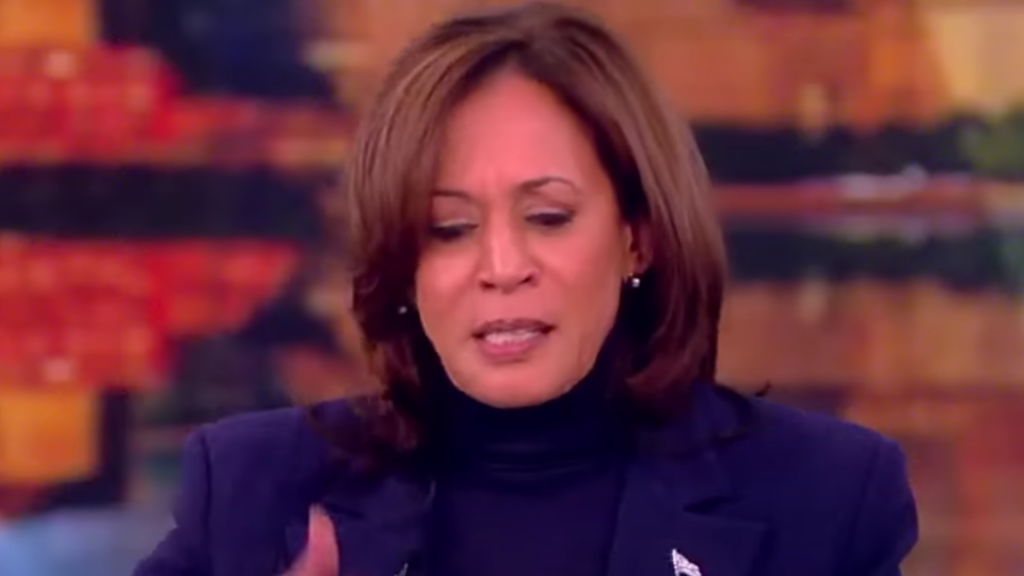 ‘the View Tries To Spin Vp Harris Comments ‘shes Not Scared Of