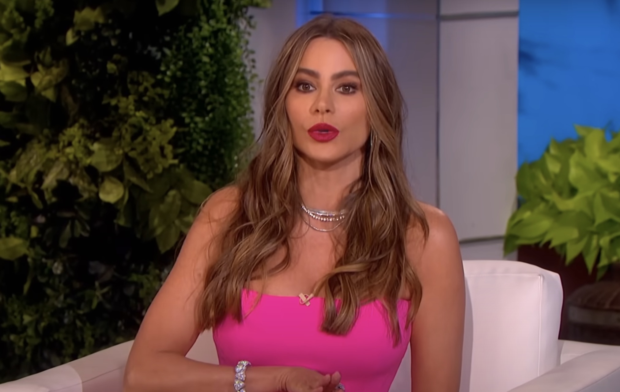 Sofia Vergara Opens Up: Actress Speaks Out on Divorce and Motherhood ...