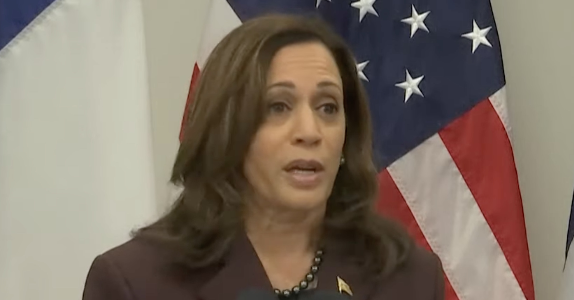 Harris’ Divisive Speech Hits Trump With Accusations Of ‘Racism, Bigotry ...