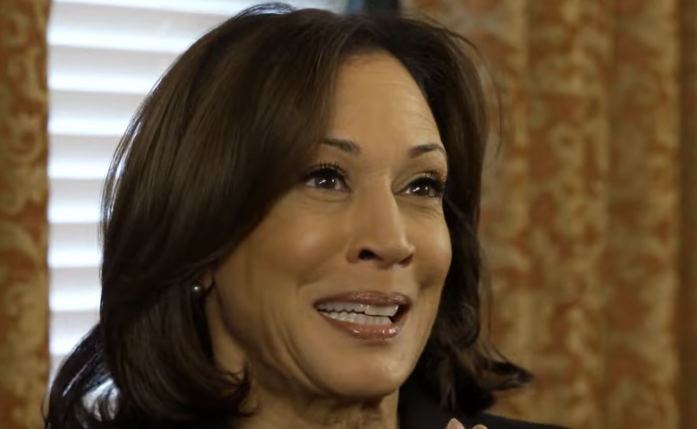 Kamala Harris Criticized By Biden Official As Ineffective State Of   Screen Shot 2024 02 15 At 11.51.02 AM 