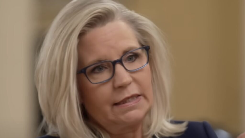 Liz Cheney Teases Possible 2024 Run State of the Union