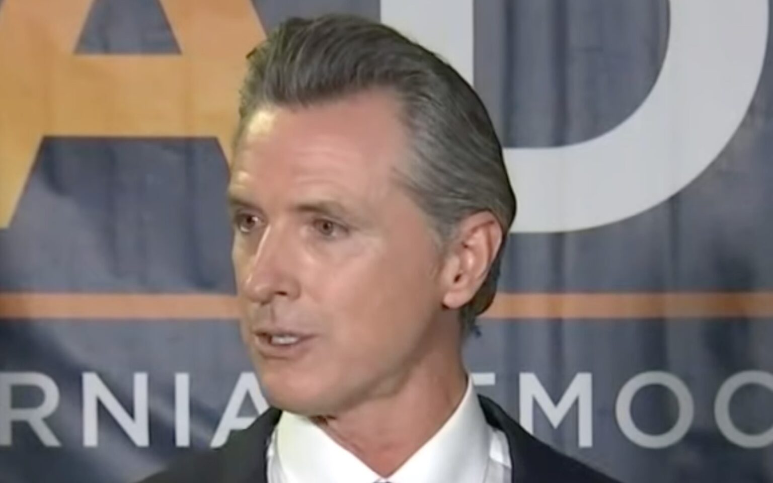 Calls Grow For FBI To Launch Criminal Investigation Into Newsom – State ...